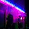 Siroter le sirop (feat. Radmo) - Butter Bullets lyrics