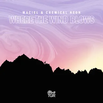 Where the Wind Blows by Maciel & Chemical Neon song reviws