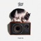 Truffle Pig - Single