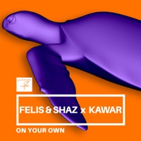 On Your Own (feat. KAWAR) - Single - Felis & Shaz