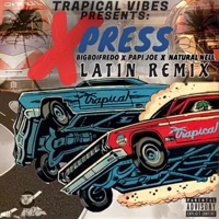 Xpress (Latin Remix) - Single - Natural Nell, Papi Joe & BigBoiFredo