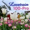 Anna Luisa - Lovetrain lyrics