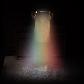 Something Else Bloom