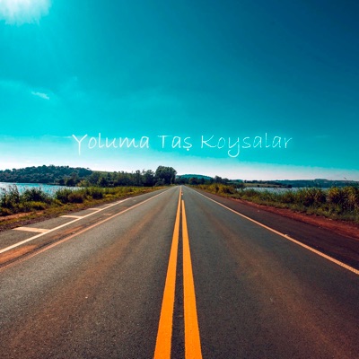 Yoluma Taş Koysalar (feat. Sebastian) - Single