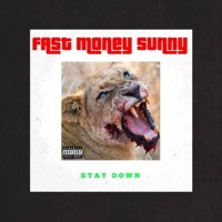 Stay Down - Single - Fast Money Sunny