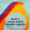 Paloma (Holed Coin Remix) cover art