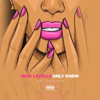 Only Knew (feat. Hawmdiggie) - Single - Nick LaVelle