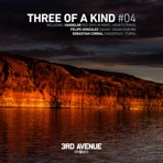 Three of a Kind #004