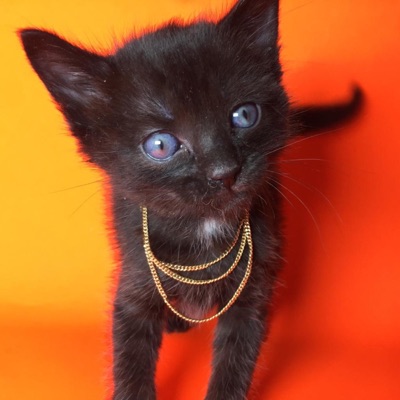 Love Is Ours (feat. Curly G) - Single