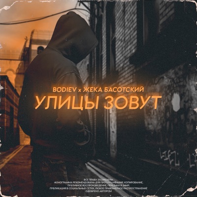 Улицы зовут - Single