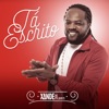 Xande de Pilares - Tá Escrito