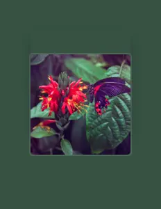 VibeKatcher을(를) 듣고, 뮤직 비디오를 보고, 약력을 읽고, 투어 일정 등을 확인하세요!