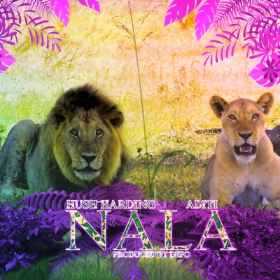 Nala (feat. Aditi) - Single