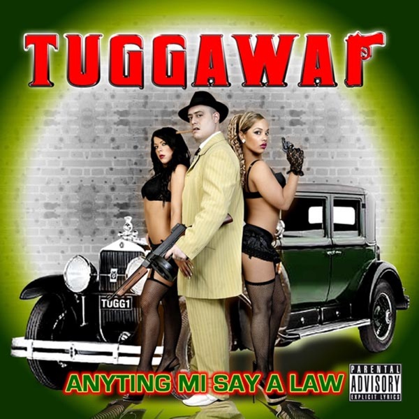 Anyting Mi Say a Law