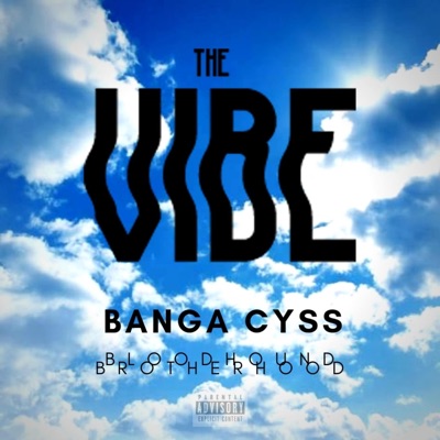 The Vibe - Single