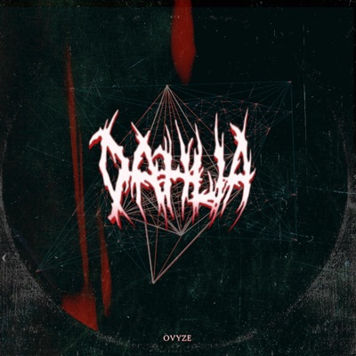 Dahlia - Single