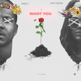 Want You (feat. Lady London) Dame D