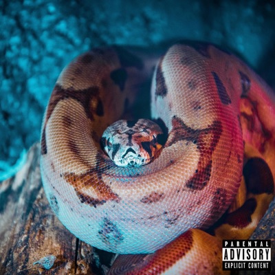 Snakes - Single