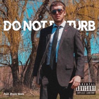 Do Not Disturb (feat. Syl Messi & Emmanuel Nazir) - Single - Nicodemus the Truth