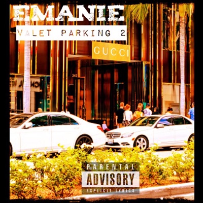 Valet Parking 2 - Single