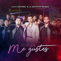 No Es Que Me Gustes - Single