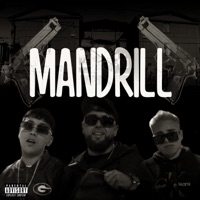 Mandrill (feat. young magic & nota la n) - Single - EmeRetro