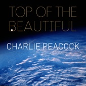 Top of the Beautiful (feat. Sam Ashworth) artwork