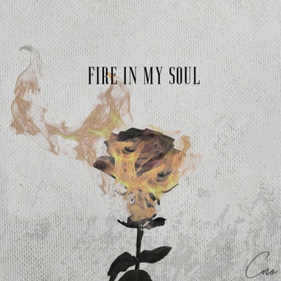 Fire in My Soul - Single
