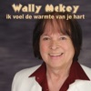 Ik Voel De Warmte Van Je Hart - Single