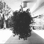 Rose Tinted Glasses - Single