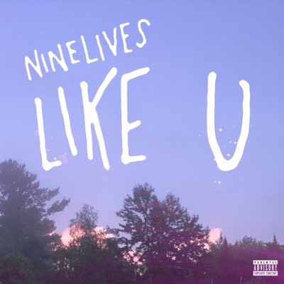 Like U - Single