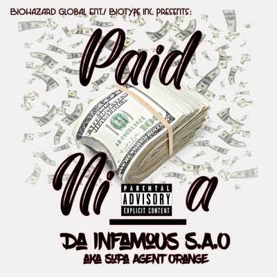 Paid Nigga - Single