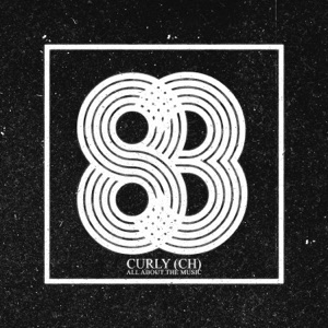 All About the Music - Single