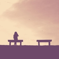 Moonlight Echoes - Wonderment