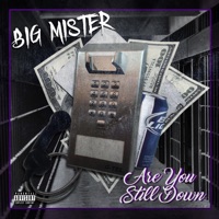 Are You Still Down - Single - Big Mister