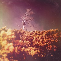 Makeitlast - EP - Aptato