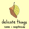 Delicate Things (feat. Keepitinside) - Single