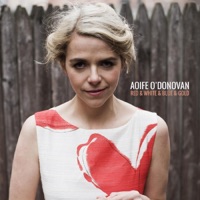 Red & White & Blue & Gold - Single - Aoife O'Donovan