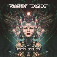 What Are Psychedelics - Single - Transient Disorder & X-Side