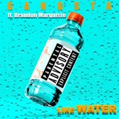 Like Water (feat. Brandon Marquiste) artwork