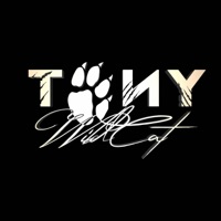 Break iT Down - Single - TONY WILDCAT