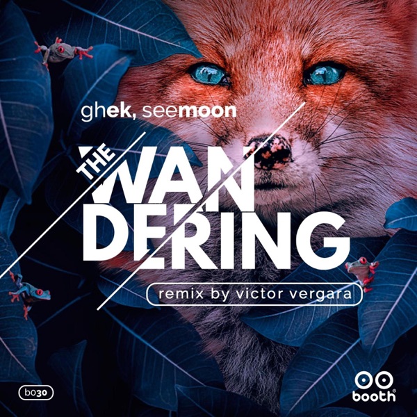 The Wandering EP (Incl. Victor Vergara Remix)