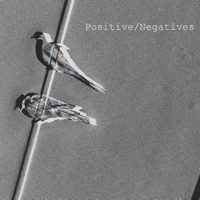 Positive/Negatives - Prophit