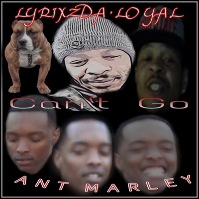 We Can't Go - Single