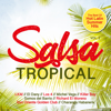 Salsa Tropical, Vol. 2 (Best of Hot Latin Summer Hits) - Various Artists