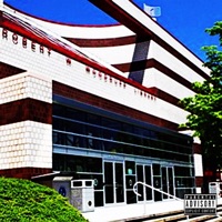 Woody Chronicles - Solomon Aka King S-O