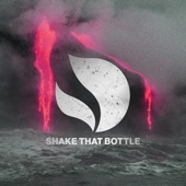 Shake That Bottle artwork