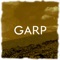 In the Race - Garp lyrics