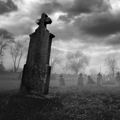 One in My Dome - Single