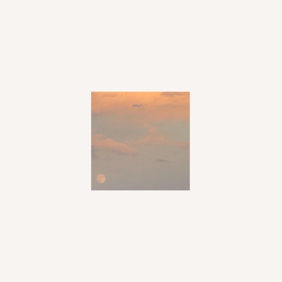 Bedroom Walls - Single
